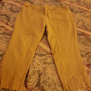 Old Navy Pixie Ankle Pant